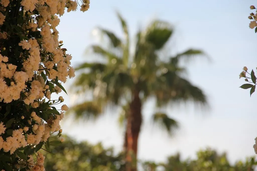 **** منزل ريفي Son Sardina Fincahotel Los Naranjos إسبانيا