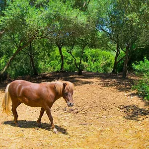 Putxet D'en Robi By Mallorca Selection Sineu (Mallorca)